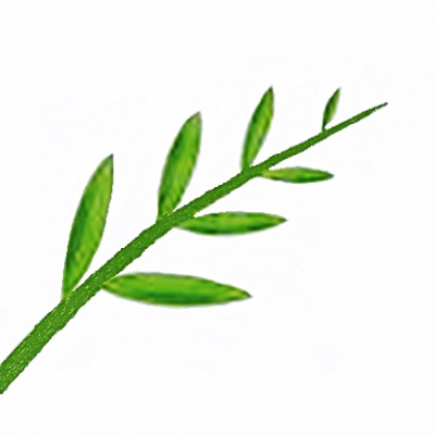 business-logo